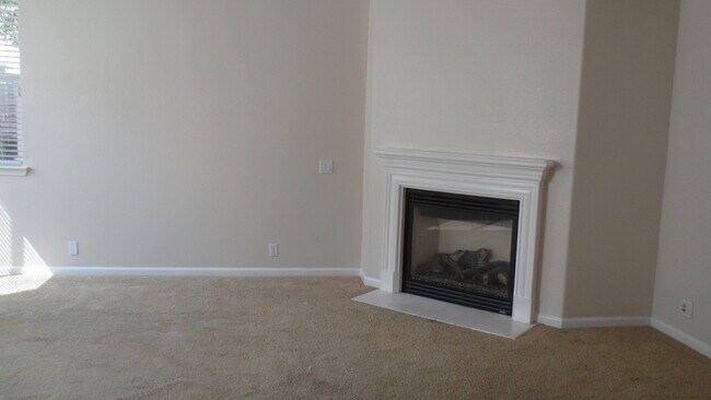Fireplace - 1220 Avignon Dr