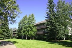 Lawn and Forest View Units Available - Willow Woods Apartments