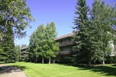 Tenemos disponibles unidades con vistas al parque y a los bosques - Willow Woods Apartments