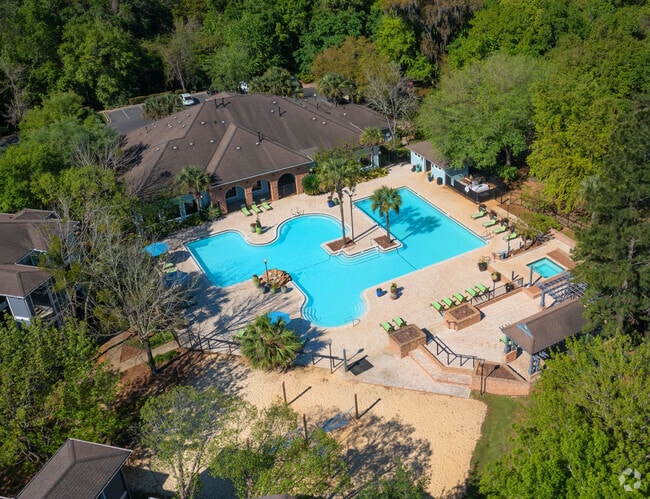 Pool - The Lory of Tallahassee