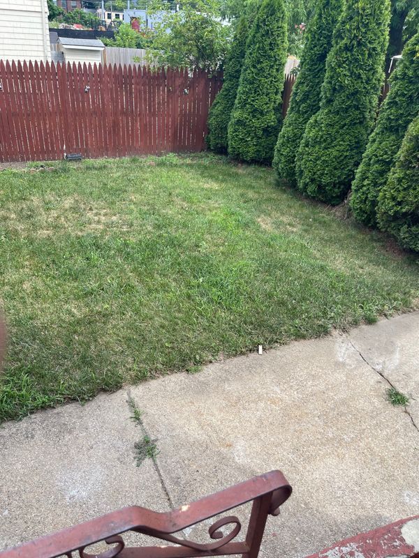 Building Photo - 398 Wellington Ave