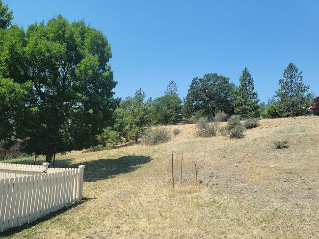 Yard - 81 Erickson Ave