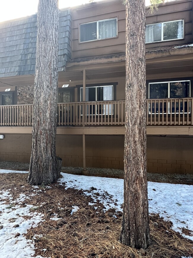 Building Photo - 1200 Wildwood Ave