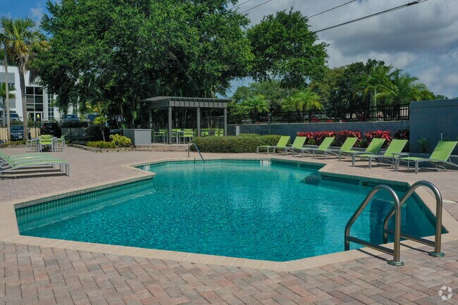 Piscina - The District at Clearwater