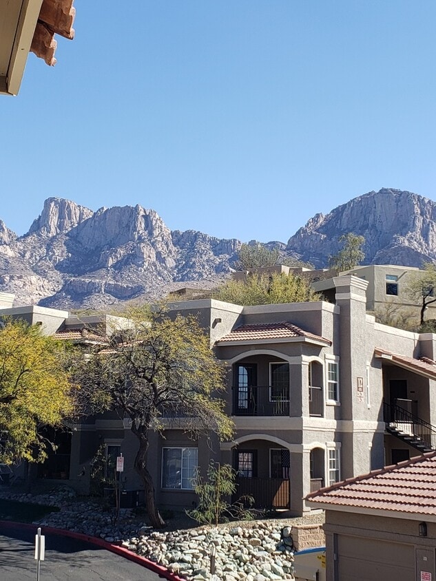 Primary Photo - 1500 E Pusch Wilderness Dr