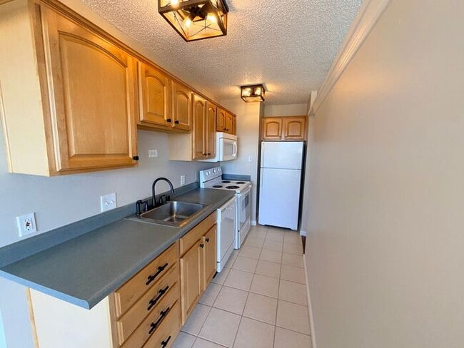 Building Photo - Reno Highrise Condo - Mountain & City Views