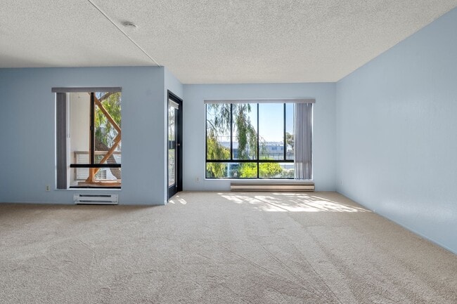 Foto del edificio - Sunny South-Facing Watergate Studio!