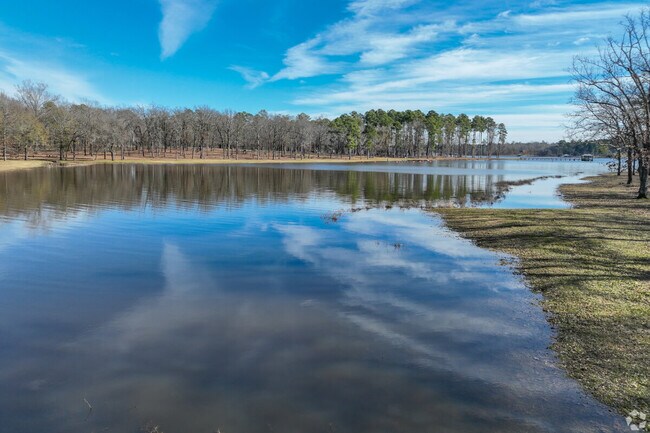 Swing by Cypress Black Bayou and enjoy playing in the water while having a family picnic.