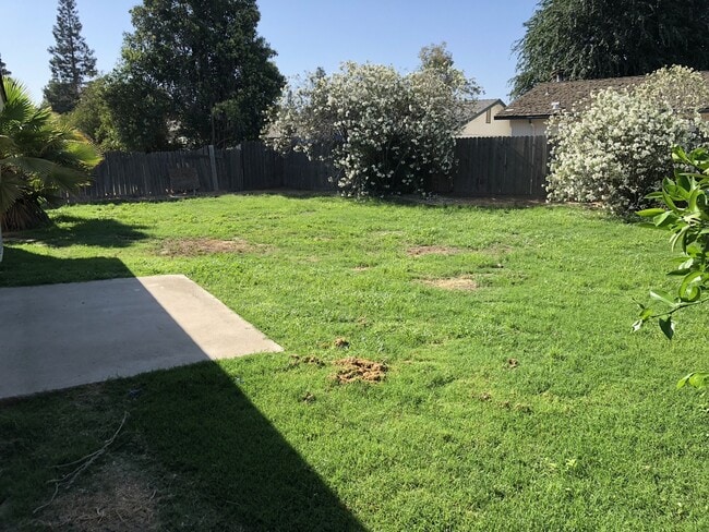 Foto del edificio - 1715 E Mary Ave