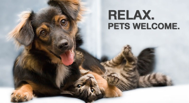 Cats and Dogs Welcome!** - Arvada Apartments