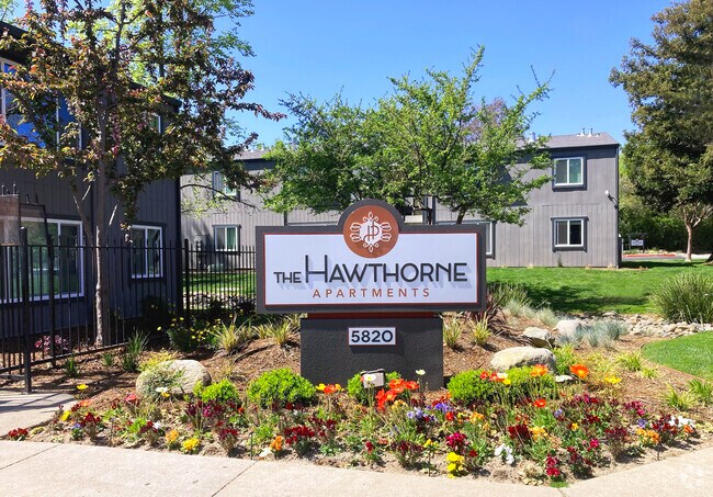 Pet Friendly Apartments For Rent In Carmichael Ca