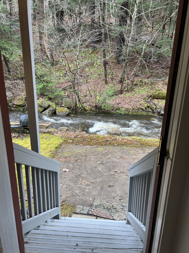 Out the Back Door - 313 Main St