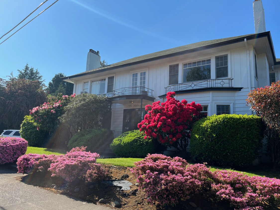 Primary Photo - Halsey Villa
