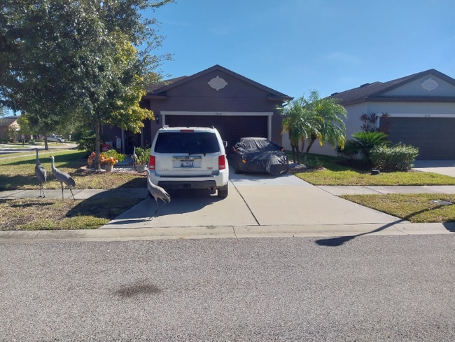 Photo - 6004 Sweet Birch Dr House