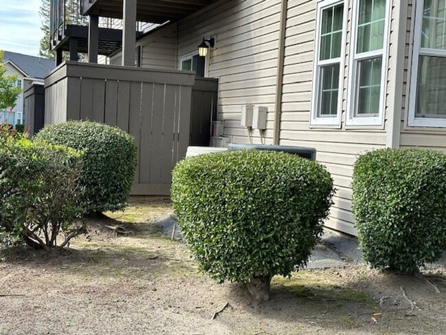 Interior Photo - Carmel Woods