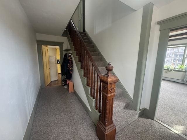 Building Photo - 125 Grapevine Rd