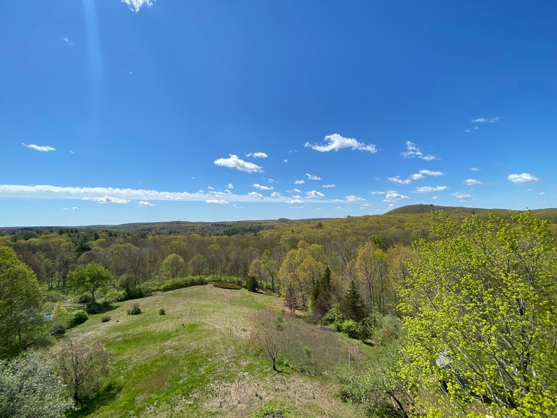 Photo - 123 Looking Glass Hill Rd (Morris, CT)