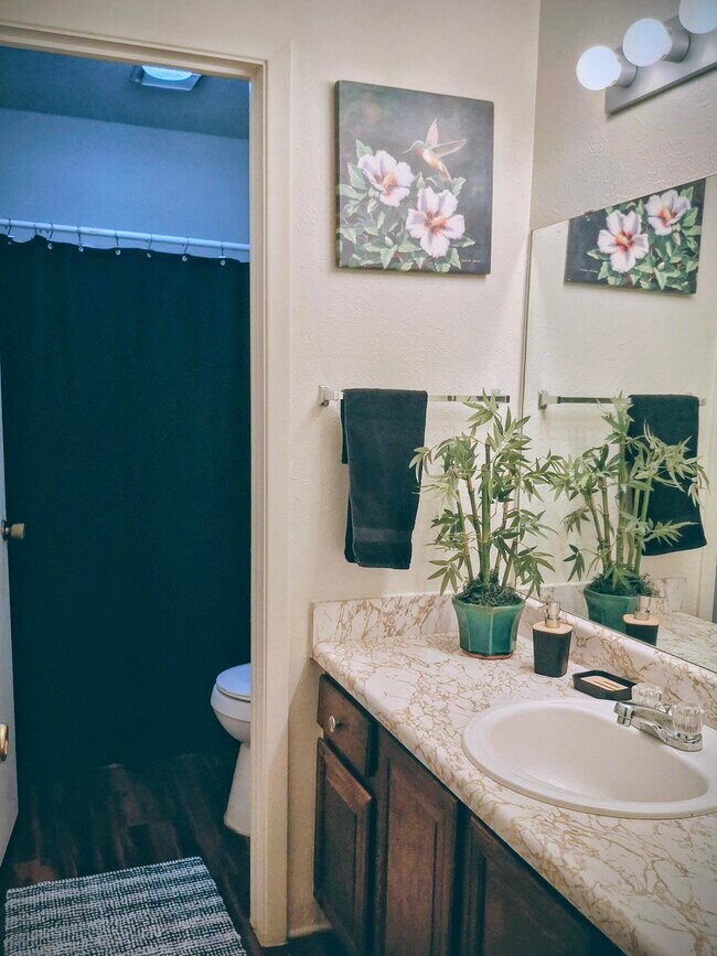 Foto del edificio - 1409 Paseo del Oro