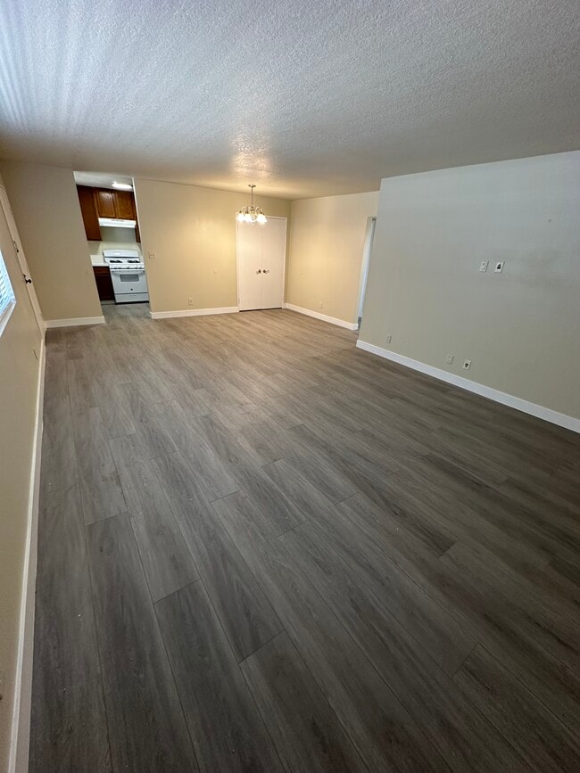 LARGE LIVING ROOM - 114 Olive St