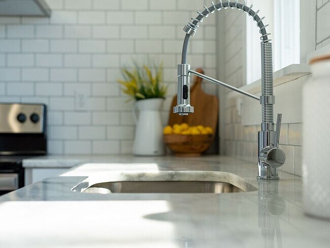 Newly remodeled Kitchen - 231 Raleigh Way