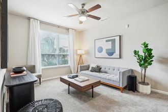 39-web-or-mls-100 Myrtle St - Unit 310 - 003.jpg - Weston Park at Longwood Station