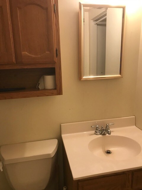 Bathroom vanity - 4908 Sideburn Rd