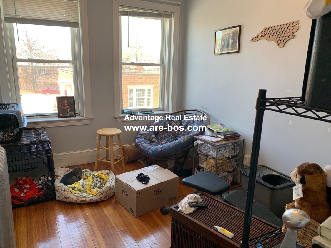 14 Chestnut Hill Ave, Boston, MA 02135 Apartments at 14 Chestnut Hill