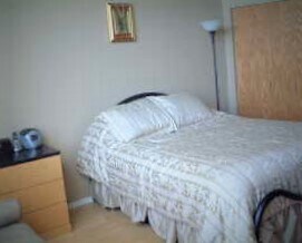 Master Bedroom with full closet - 6 S Laflin St