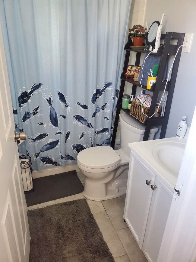 Bathroom - 167 Van Buren St