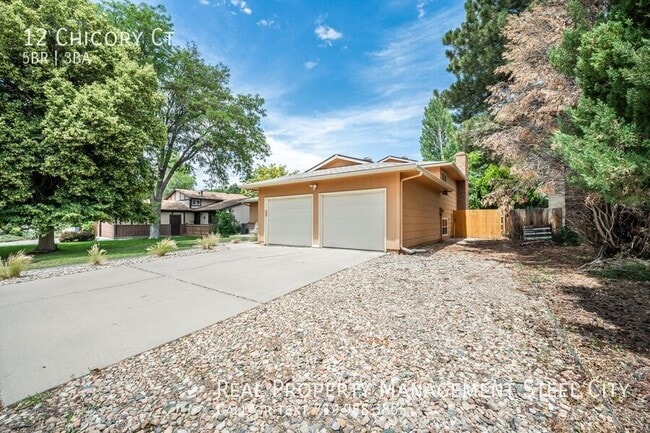 Building Photo - 12 Chicory Ct