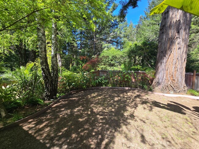 Foto del edificio - Large and stunning home in rural Sebastopol!