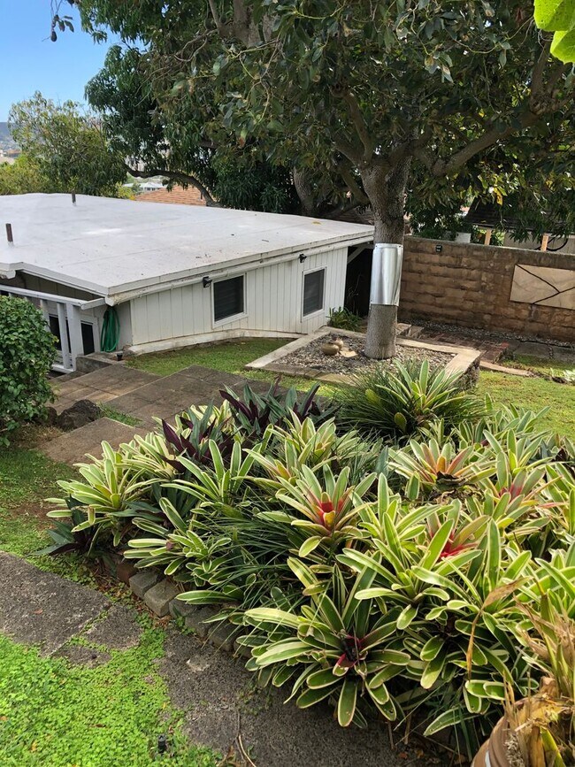 Building Photo - COZY 1/1/1 COTTAGE LOCATED LOWER-MANOA BY ...