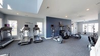 This fitness center offers a clean, functional environment designed to support an active lifestyle. The space is anchored by a selection of cardio equipment, including multiple treadmills, elliptical trainers, and a stair climber, all arranged to allow comfortable use and movement between machines. A bold navy blue accent wall provides a striking visual focal point, contrasting with the light gray walls and white ceiling to create an energizing atmosphere. The motivational phrase "Be Stronger Than Your Excuses" is displayed prominently on one wall, reinforcing the space's purpose. Soft, textured blue-gray carpeting covers the floor throughout, adding comfort underfoot while complementing the overall color palette. Natural light filters in through a window along one wall, brightening the space alongside recessed ceiling lighting. A skylight or elevated clerestory window near the ceiling further enhances the sense of openness and airiness. The layout allows for easy navigation between equipment, and additional machines are visible toward the rear of the space, suggesting ample capacity for multiple users at once.