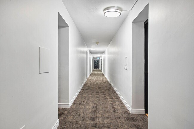 Photo du bâtiment - 24 Ida Street