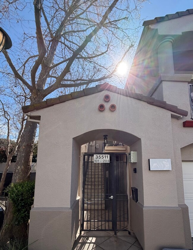 Building Photo - 35511 Monterra Ter