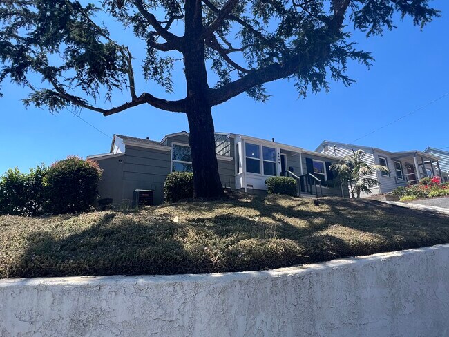 Majestic cedar tree (corner lot!) - 4604 67th St