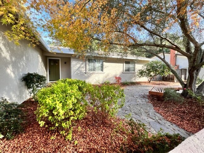 Foto del edificio - Move-in Ready, Single Story, 3BD/2BA Home ...