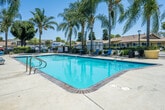 Located at 11050 Cynthia Cir in Garden Grove, California, this single-level outdoor amenity space centers around a generously sized rectangular swimming pool with vivid turquoise water and classic brick-tile coping. The pool area is designed for relaxation and leisure, offering a surrounding concrete deck furnished with blue lounge chairs and small side tables for poolside comfort. A separate hexagonal spa is positioned adjacent to the main pool, providing a dedicated hydrotherapy area. A striking wooden pergola structure anchors one end of the space, offering a shaded gathering spot and adding a warm, rustic architectural element to the outdoor setting. Tall, mature palm trees are distributed throughout the perimeter, creating a tropical ambiance and providing natural shade under the bright Southern California sun. Decorative potted plants and low landscaped shrubs line the fenced boundary, enhancing the resort-like feel of the environment. The entire pool deck is enclosed by a black metal security fence, ensuring a safe and private outdoor experience. The surrounding low-rise buildings with warm earth-toned exteriors frame the space, contributing to the cohesive, community-oriented atmosphere. This well-appointed outdoor space is ideally suited for warm-weather enjoyment in the heart of Orange County.