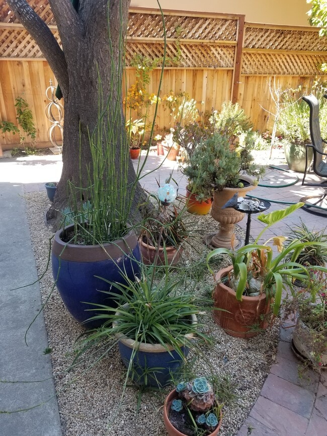 vista desde el apartamento - 943 Casanova Ave