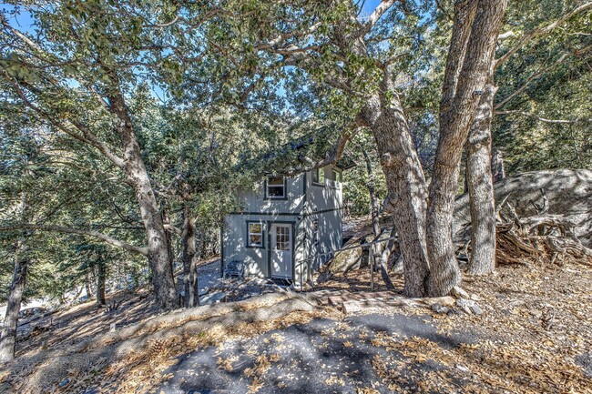 Building Photo - Move-In Ready Newer Tiny Home in The Forest