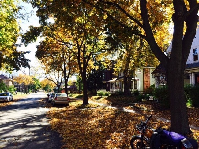 Tree-lined neighborhood - 2851 N Stowell Ave