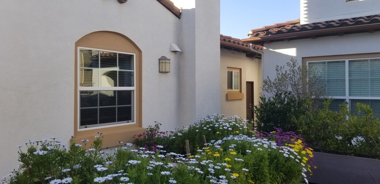 Foto principal - 3753 W 244th St