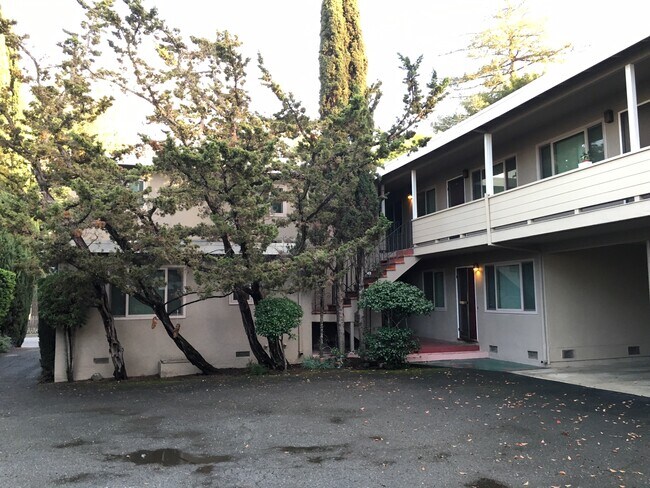 Patio - 660 Roble Ave