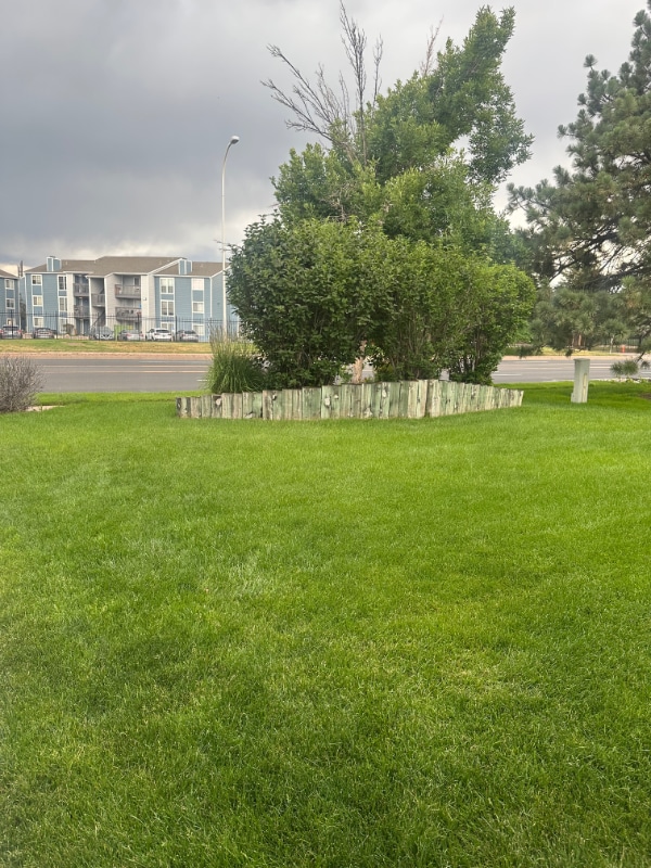 Building Photo - 1362 Firefly Cir