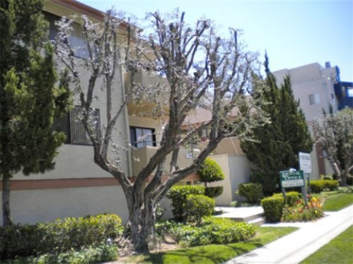 Building Photo - Pine Tree Terrace