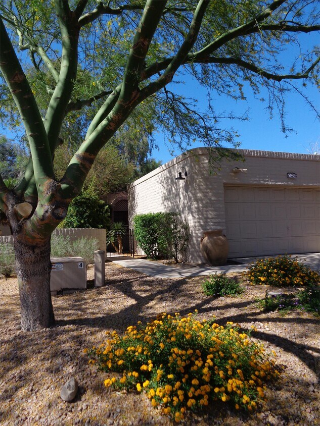 Primary Photo - 4352 N Camino Real