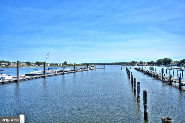 Foto del edificio - 8233 Secluded Cove Ln