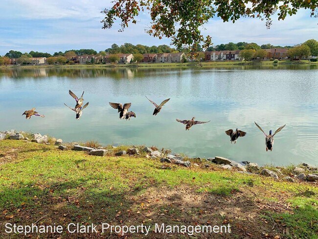 Foto del edificio - 3 br, 2 bath House - 4875 Woods Edge Road