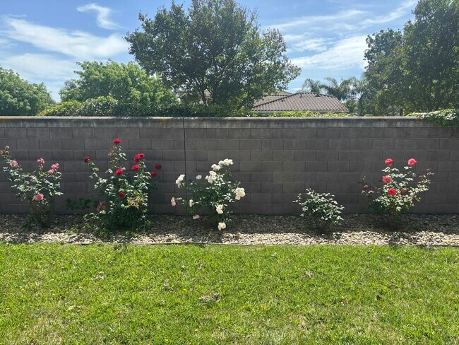Foto del edificio - 10294 Stoecker Way