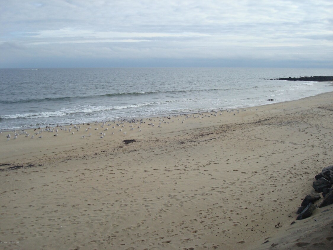 675 Ocean Ave Unit 8 D, Long Branch, NJ 07740 Condo for Rent in Long